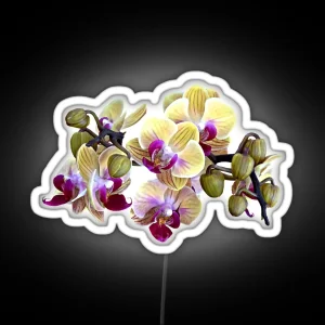 Pale Yellow And Magenta Phalaenopsis Orchids RGB Neon Sign