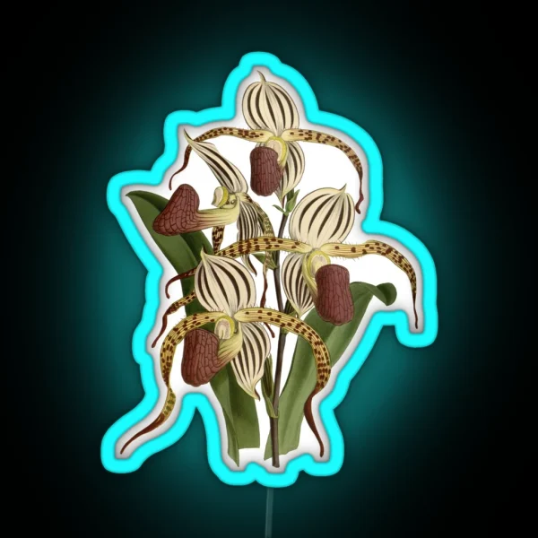 Paphiopedilum Stonei Orchid RGB Neon Sign
