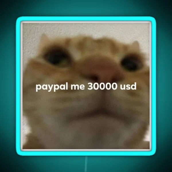 Paypal Me 30000 Usd Cat Meme RGB Neon Sign