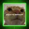 Vibrant PayPal Me Neon Sign Featuring Humorous Cat Meme Design