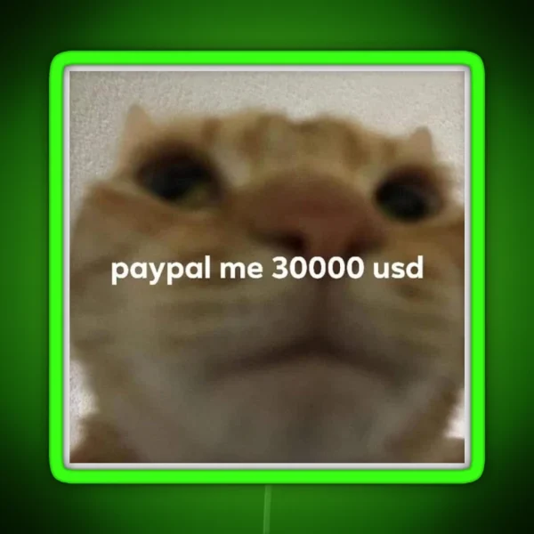 Paypal Me 30000 Usd Cat Meme RGB Neon Sign