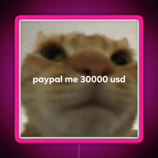 Paypal Me 30000 Usd Cat Meme RGB Neon Sign