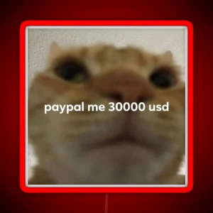 Paypal Me 30000 Usd Cat Meme RGB Neon Sign