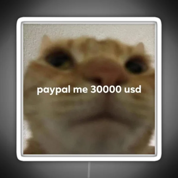 Paypal Me 30000 Usd Cat Meme RGB Neon Sign