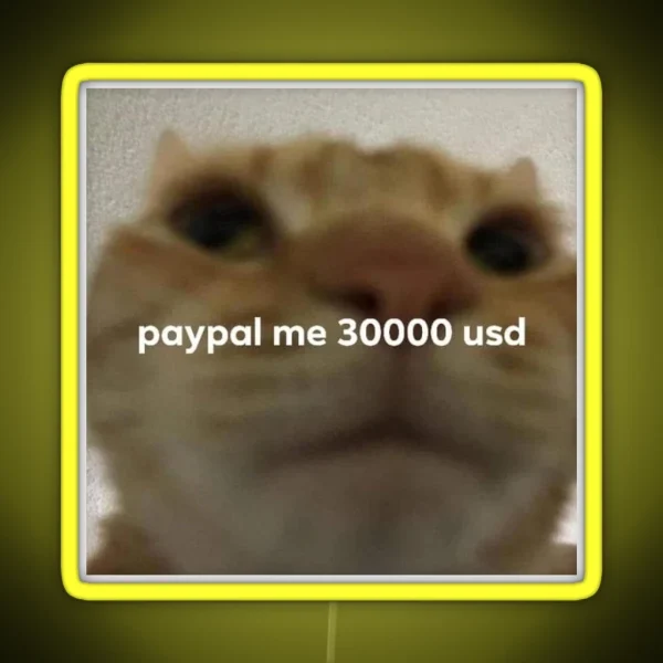 Paypal Me 30000 Usd Cat Meme RGB Neon Sign