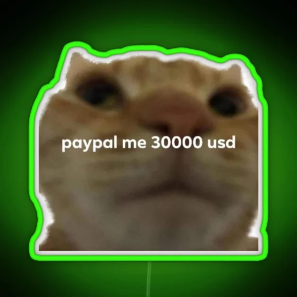 Paypall Me 30000 Usd Meme Tweet RGB Neon Sign