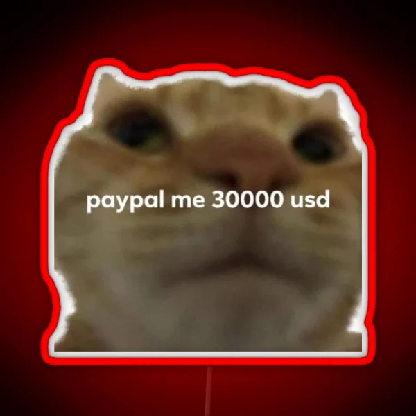 Paypall Me 30000 Usd Meme Tweet RGB Neon Sign