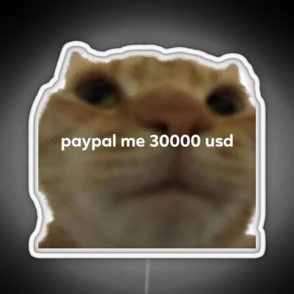 Paypall Me 30000 Usd Meme Tweet RGB Neon Sign