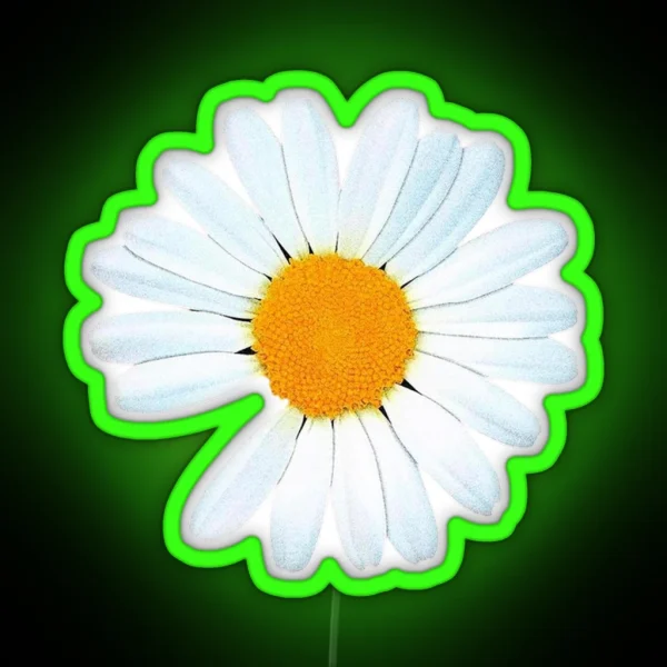 PEACEMINUSONE RGB Neon Sign
