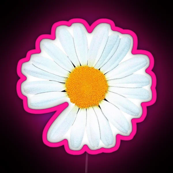 PEACEMINUSONE RGB Neon Sign