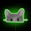 Whimsical Neon Cat Sign Adds Feline Fun to Home Decor