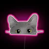 Whimsical Neon Sign Featuring a Curious Grey Cat Silhouette