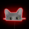 Whimsical feline face glows softly in pastel grey neon colors
