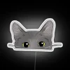 Vibrant Grey Cat RGB Neon Sign with Whimsical Feline Design.