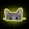 Unique grey feline silhouette with vibrant RGB LED neon glow