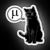 Whimsical Physics-Inspired Black Cat Neon Sign with RGB Colorful Accents