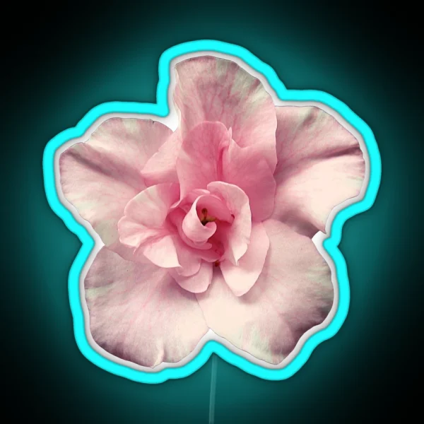 Pink Azalea RGB Neon Sign