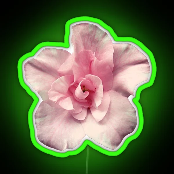 Pink Azalea RGB Neon Sign