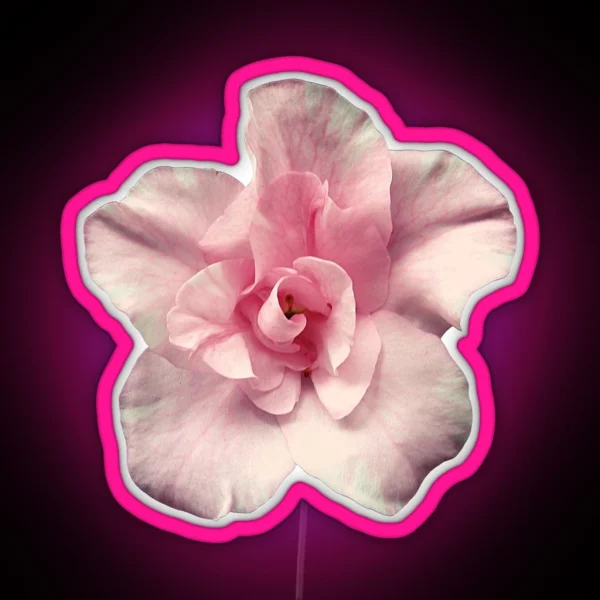 Pink Azalea RGB Neon Sign