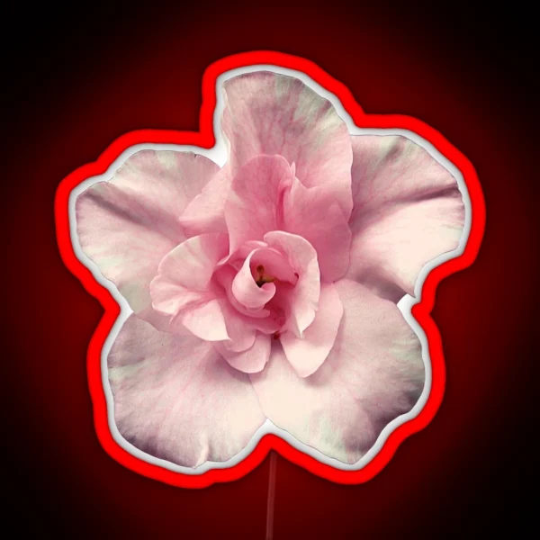 Pink Azalea RGB Neon Sign