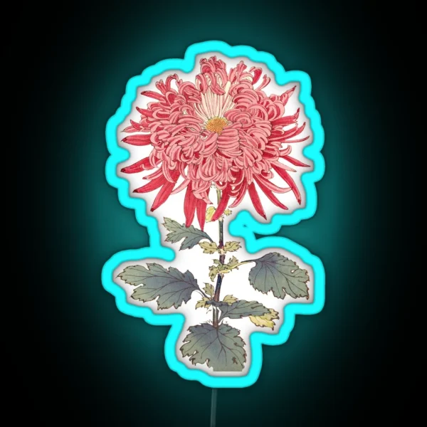 Pink Chrysanthemum 3 Hasegawa Traditional Japanese RGB Neon Sign