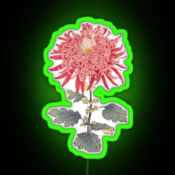Pink Chrysanthemum 3 Hasegawa Traditional Japanese RGB Neon Sign