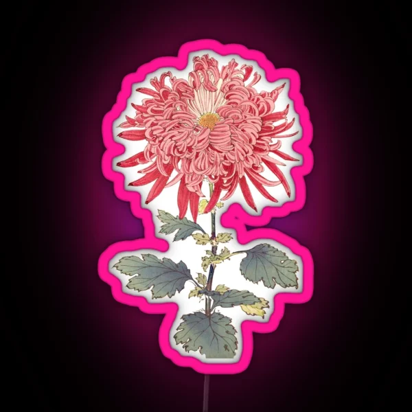 Pink Chrysanthemum 3 Hasegawa Traditional Japanese RGB Neon Sign