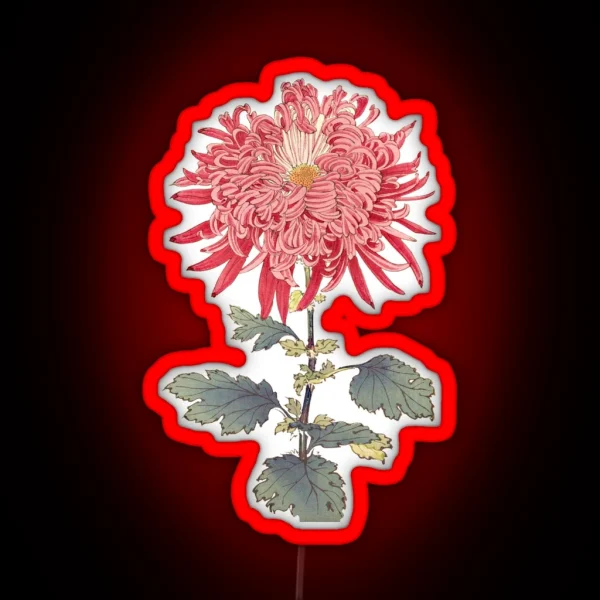Pink Chrysanthemum 3 Hasegawa Traditional Japanese RGB Neon Sign