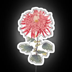 Pink Chrysanthemum 3 Hasegawa Traditional Japanese Style Botanical Illustration RGB Neon Sign