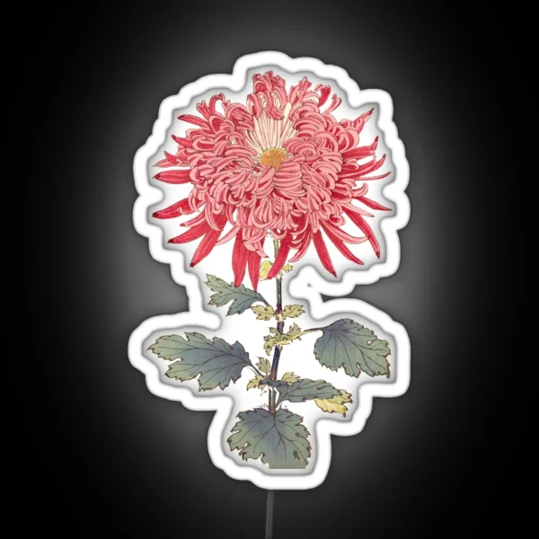 Pink Chrysanthemum 3 Hasegawa Traditional Japanese RGB Neon Sign