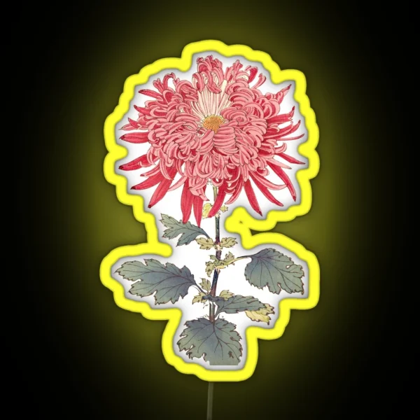 Pink Chrysanthemum 3 Hasegawa Traditional Japanese RGB Neon Sign