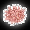 Soft pink glow of vibrant chrysanthemums in electric neon light