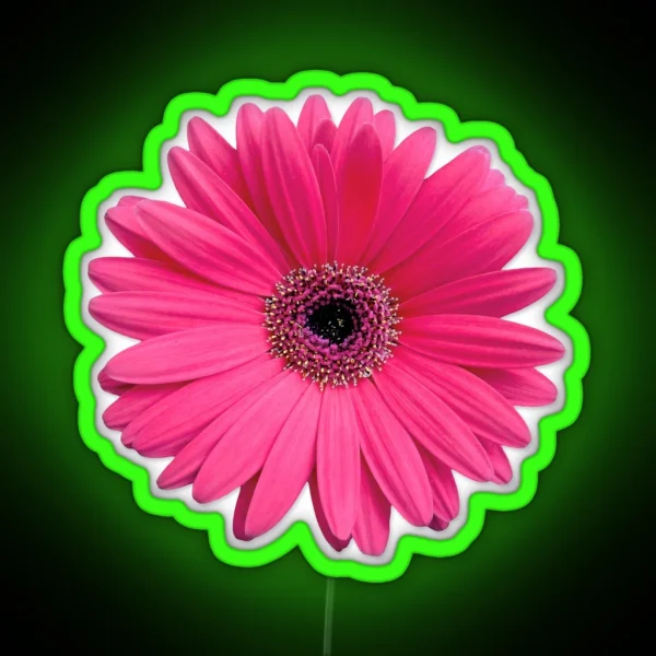 Pink Gerbera Gerber Daisy Flower Led RGB Neon Sign