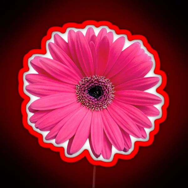 Pink Gerbera Gerber Daisy Flower Led RGB Neon Sign