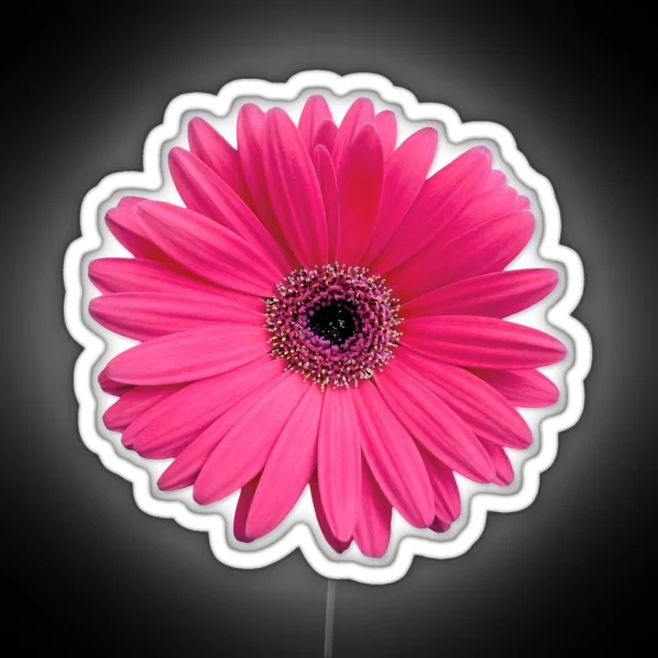 Pink Gerbera Gerber Daisy Flower Led RGB Neon Sign