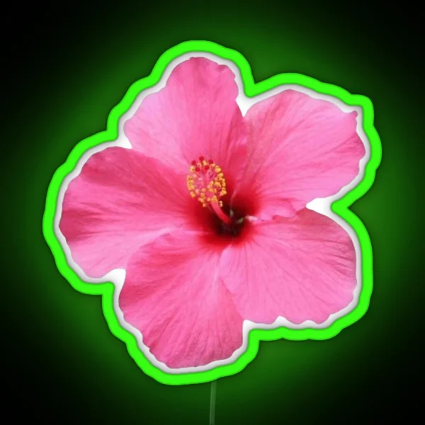 Pink Hibiscus Flower RGB Neon Sign