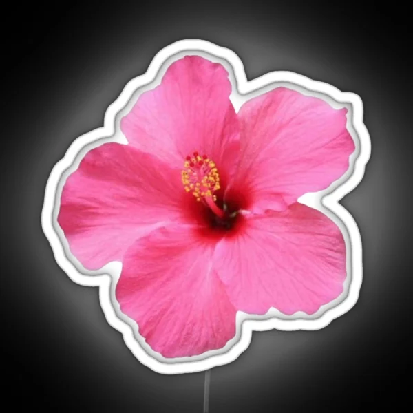 Pink Hibiscus Flower RGB Neon Sign