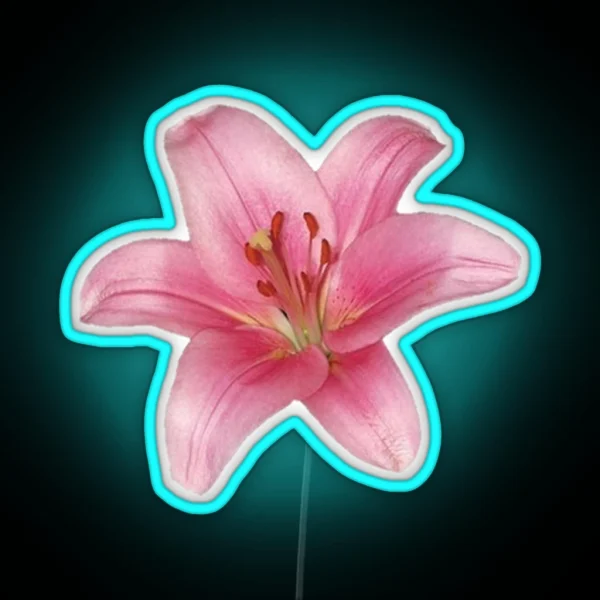 Pink Lily Flower RGB Neon Sign
