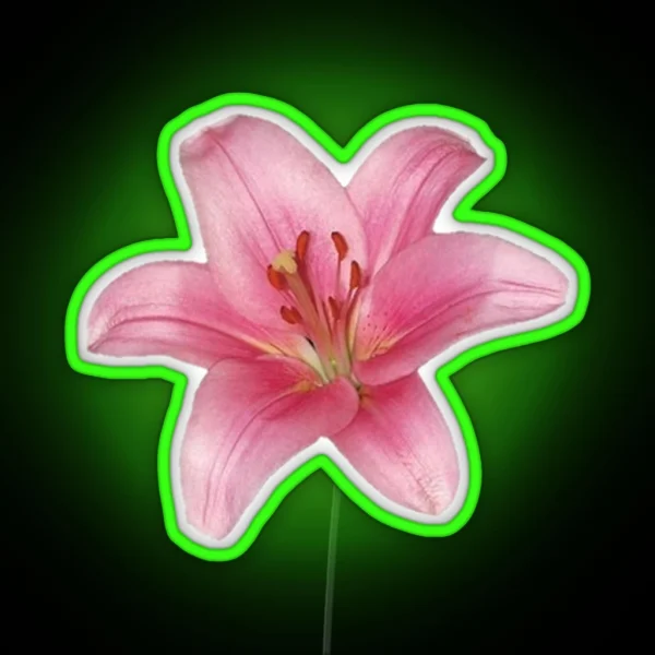 Pink Lily Flower RGB Neon Sign
