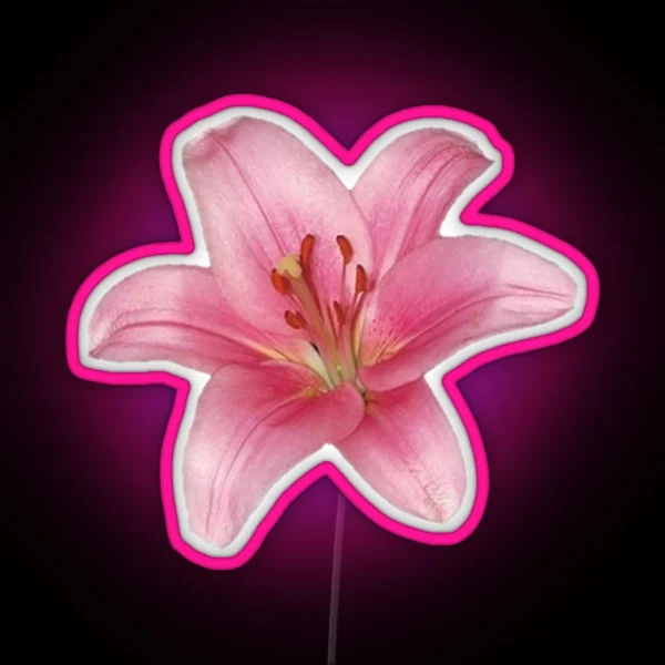 Pink Lily Flower RGB Neon Sign