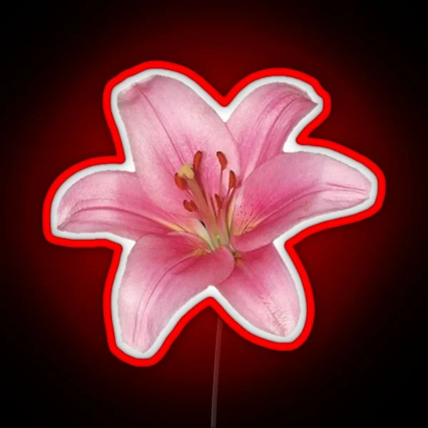 Pink Lily Flower RGB Neon Sign