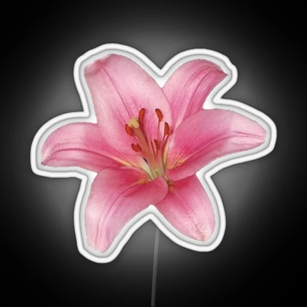 Pink Lily Flower RGB Neon Sign