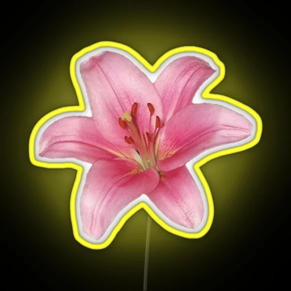 Pink Lily Flower RGB Neon Sign