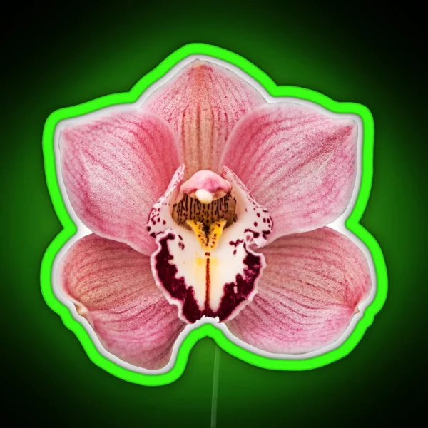 Pink Orchid RGB Neon Sign