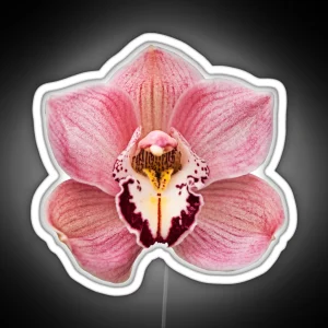 Pink Orchid RGB Neon Sign