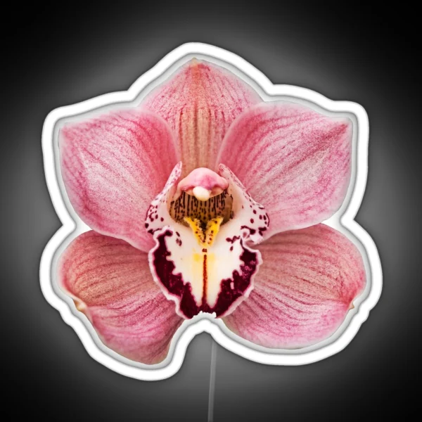 Pink Orchid RGB Neon Sign