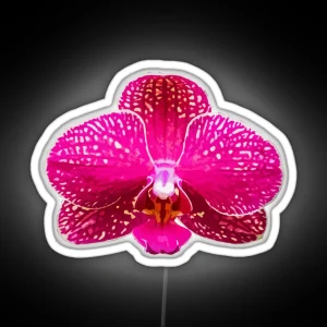 Pink Orchid RGB Neon Sign