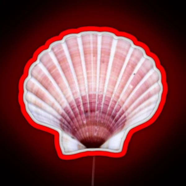 Pink Seashell RGB Neon Sign