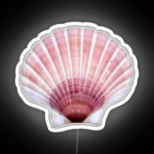 Pink Seashell RGB Neon Sign