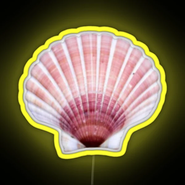 Pink Seashell RGB Neon Sign